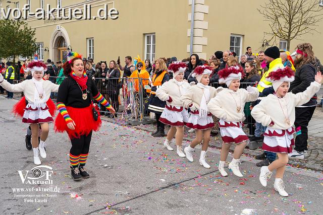 Foto Laudi_Pleintinger_Faschingszug-206266.jpg